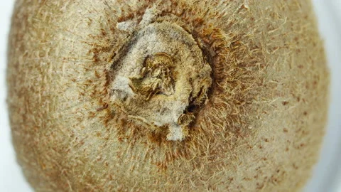 Sliced kiwi rotating close up Stock Footage 155277589