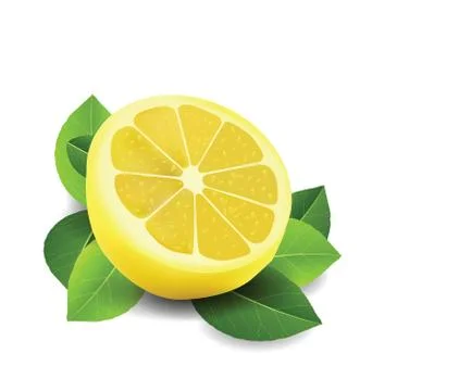 Sliced lemon isolated on white 스톡 일러스트