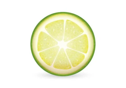 Sliced lime Stock Illustration
