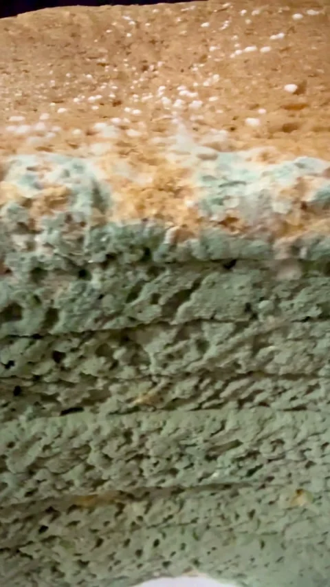 Sliced loaf of bread with green mold and fungus Video stock 331983560