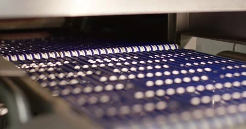 Sliced meat moving on a blue modular conveyor belt through an industrial food 動画素材 339991059