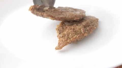 Sliced Meat on White Plate. Stock Footage 255251155