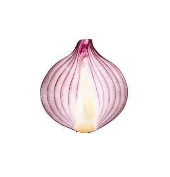 Sliced onion close-up Stock Photos