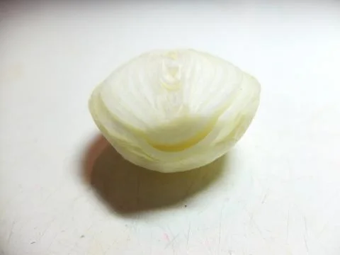 Sliced onion. Stock Photos