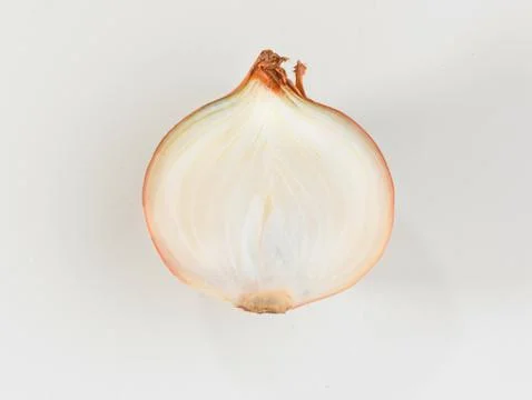 A sliced onion Stock Photos