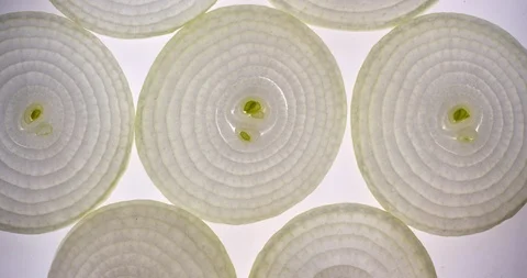 Sliced onion rotating on a bright white background. Close up top view, shot on Stock Footage 107951060