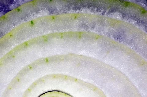 Sliced onion as Texture Stock Photos