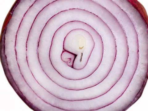 Sliced onion on white background Stock Photos