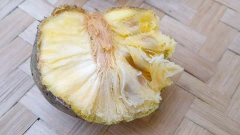 Sliced Open Ripe Round Mountain Soursop Fruit Exposing White Pulp Stock Footage 340125612