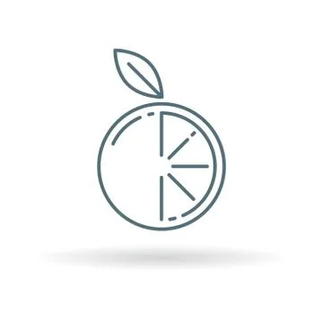 Sliced orange icon Stock Illustration