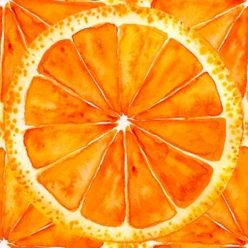 Sliced orange or grapefruit Stock Illustration