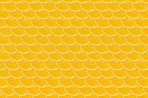 Sliced orange pattern. Bright flat lay backdrop 写真素材
