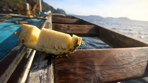 A sliced pineapple on a boat while sailing in El Nido Stock Footage 248821476