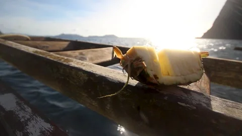 A sliced pineapple on a boat while sailing in El Nido under the sun Stock Footage 248821519