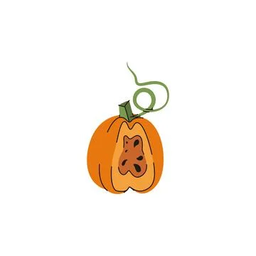 Sliced Pumpkin Cross Section Vector Illustration Illustrazione stock