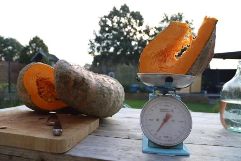 Sliced pumpkin Stock Photos