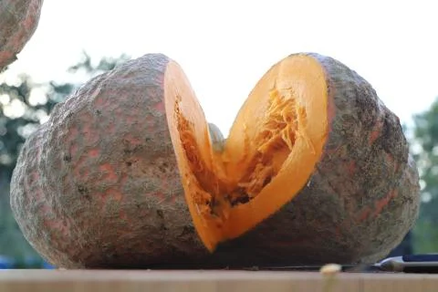 Sliced pumpkin Stock Photos
