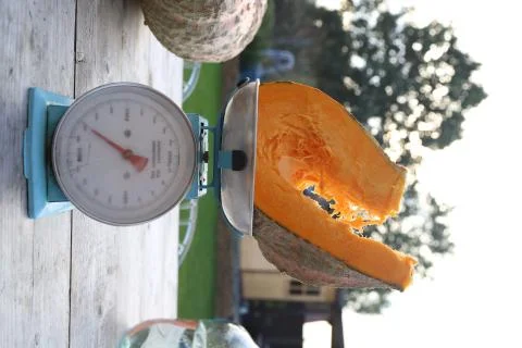 Sliced pumpkin Stock Photos