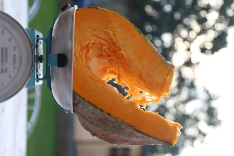 Sliced pumpkin Stock Photos