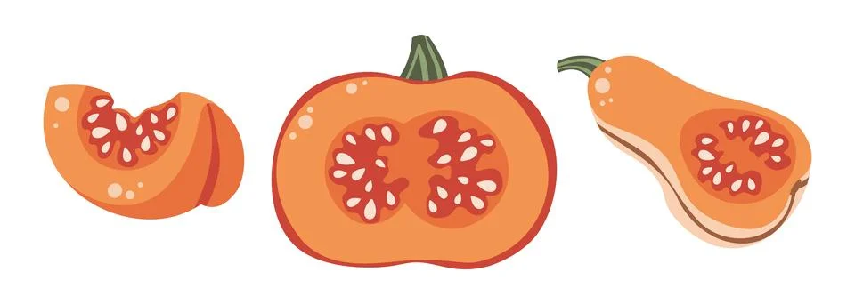 Sliced Pumpkins Flat Vector Set Isolated on White. Autumn Thanksgiving 스톡 일러스트