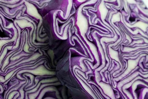 Sliced purple cabbage Stock Photos