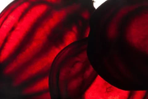 Sliced raw beet Stock Photos