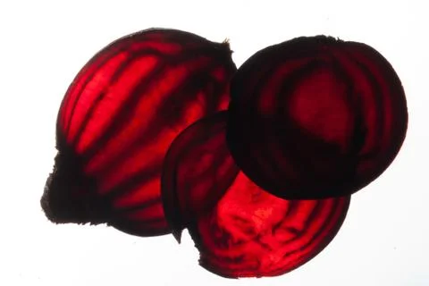 Sliced raw beet Stock Photos