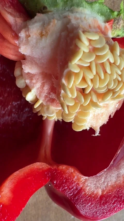 Sliced Red Bell Pepper Stock Footage 284210823