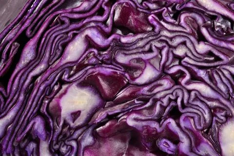 Sliced red cabbage close up Stock Photos