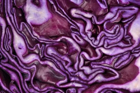 Sliced red cabbage close up Foto stock