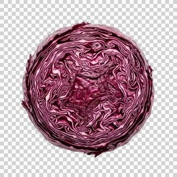 Sliced red cabbage half on transparent background showing internal leaf pat.. Фото