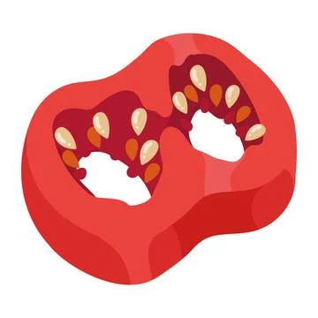 Sliced red chilli pepper Stock Illustration