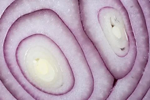 Sliced Red Onion Close Up Stock Photos