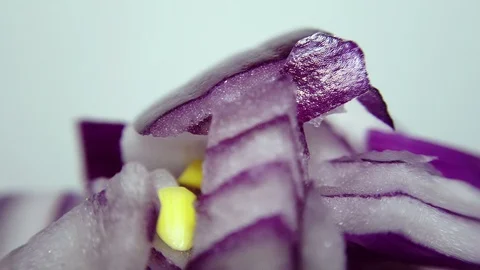 Sliced red onion in closeup, looping 360 macro video Stock Footage 125676946