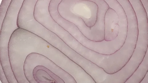 Sliced red onion ring rotates. Close up top view Vídeo Stock 278618329
