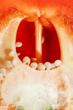 Sliced red pepper close-up, core of red pepper Stock Photos