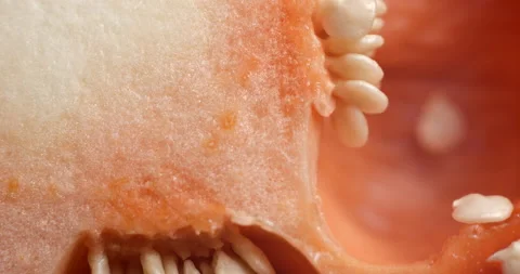 Sliced red pepper rotating close-up Видео 141697636