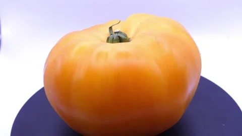 Sliced red tomatoes rotating in deep plate on white Stock Footage 344054140
