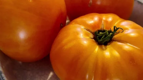 Sliced red tomatoes rotating in deep plate on white 스톡 동영상 344054186