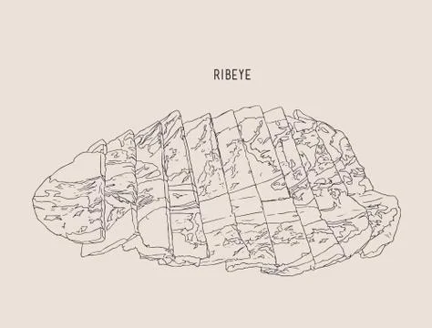 Sliced ribeye meat , sketch vector. Stock Illustration