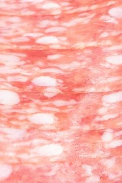 Sliced salami with a beautiful fat texture Stock Photos