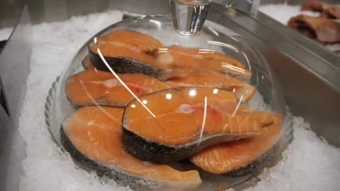 Sliced salmon steaks on ice 스톡 동영상 270569846