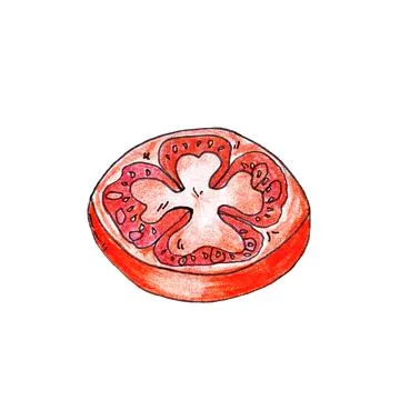 Sliced tomato, burger elements, hamburger hand drawn illustration sketch retr Stock Illustration