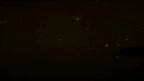 Sliced tomato falling, Ultra Slow Motion Stock Footage 86585529