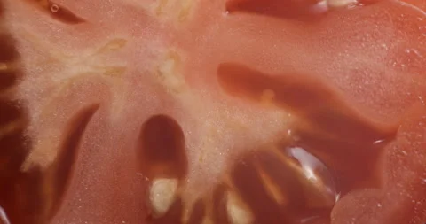 Sliced tomato rotating close up Video stock 141697870