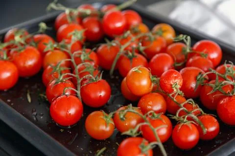 Sliced up vegetables on the table Stock Photos