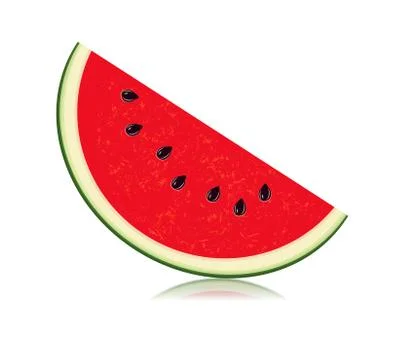 Sliced of watermelon isolated on white background Stock Illustration