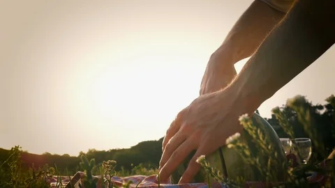 Sliced watermelon on a plate. Stock Footage 97627378