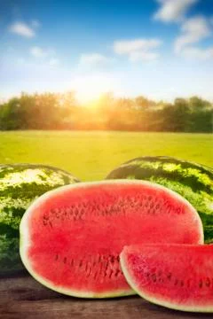 Sliced watermelon on the table Stock Photos