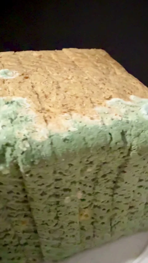 Sliced wheat bread covered in thick green and white mold 스톡 동영상 331974088